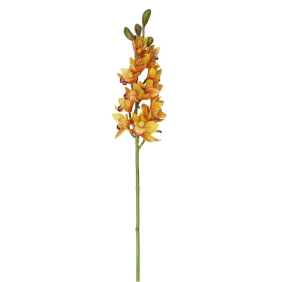 Orquídea Cymbidium Amarilla 15'