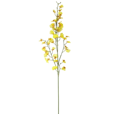 Orquídea Oncidium Amarillo 28'
