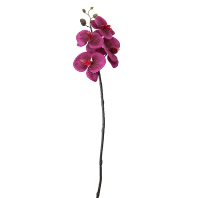 Orquídea Phalaenopsis Morada 33'