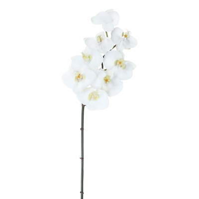 Orquídea Blanca 32'