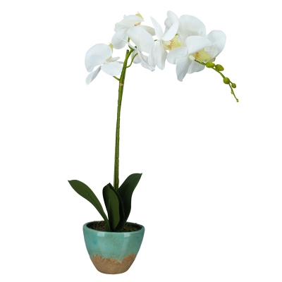 Arreglo Flor De Orquídea Blanca