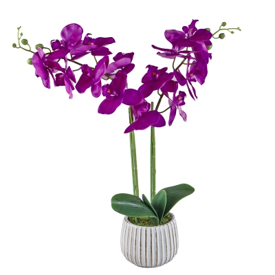 Arreglo de Orquideas Violeta