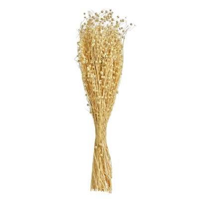 Follaje Crema 20"