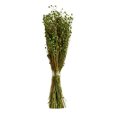 Follaje Verde 20"
