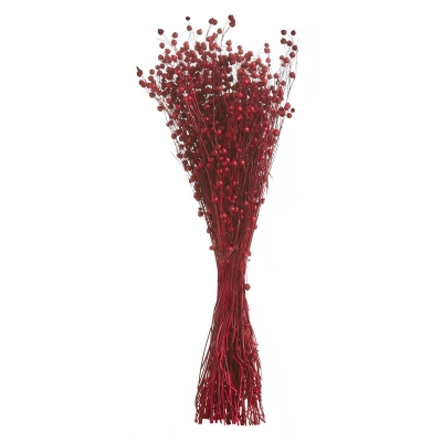 Follaje Rojo 20"