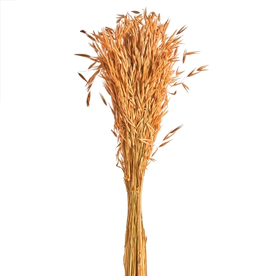 Follaje Ocre 24"