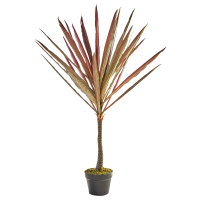 Planta Vermilion Banana 47"