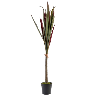 Planta Vermilion Banana 59"