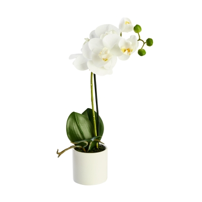 Flor Orquidea Blanca 18"
