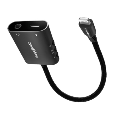 Cable/AUX Adaptador Chargeworx Lightning