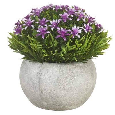 Planta Macetero Flor Violeta 5"
