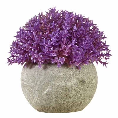 Planta Macetero Flor Fucsia 5"