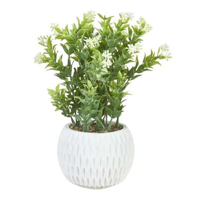 Planta Suculenta Verde Claro10"