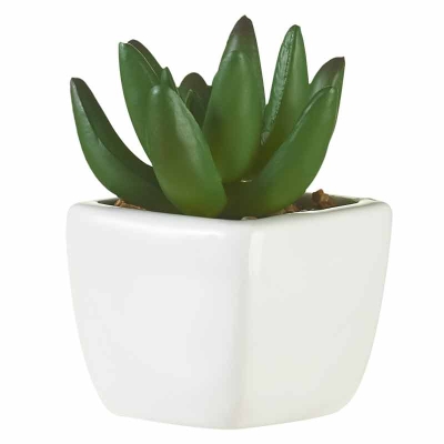 Planta Suculenta Verde Oscuro 4"
