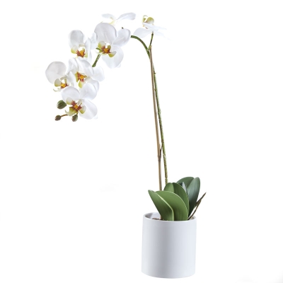 Orquidea Macetero Blanco 22"
