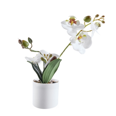 Mini Orquidea Macetero Blanco/Amarillo 10"