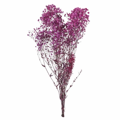 Rama Violeta 30"