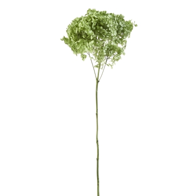 Hortensia Verde 8"