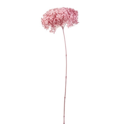 Hortensia Rosada 8"