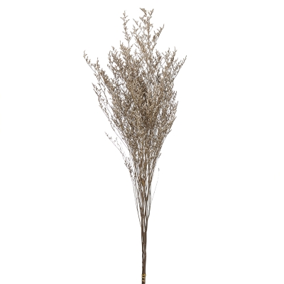 Rama Natural 34"