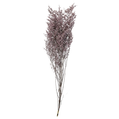 Rama Violeta 34"