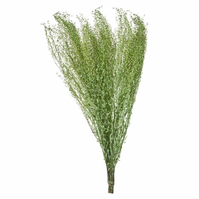 Ramas de Follaje Verde 30"