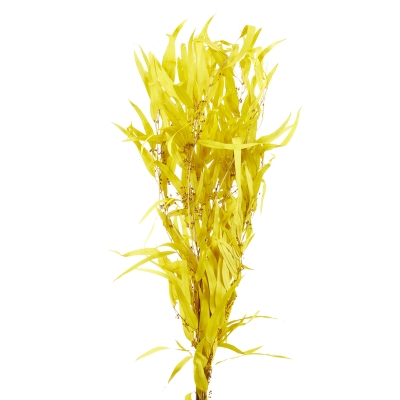 Ramas Hoja Amarilla 26"