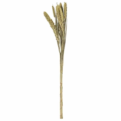 Ramas Trigo Verde 30"