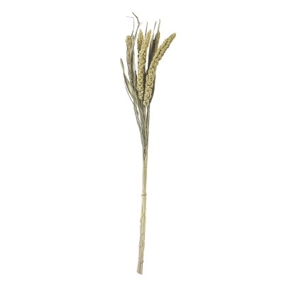 Ramas Trigo Verde 30"