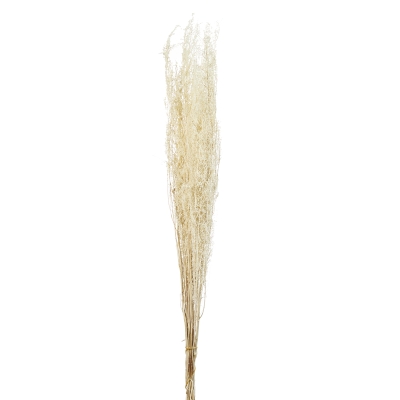 Ramas Follaje Natural 34"