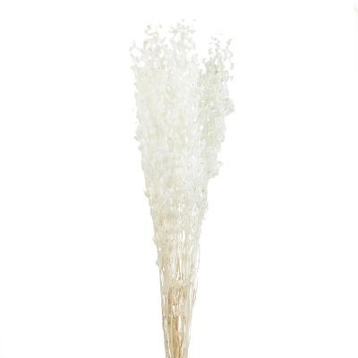 Ramas de Flores Natural 26"