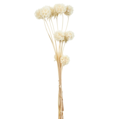 Ramas de Pompones Natural 30"
