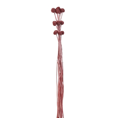 Ramas de Flores Rojo 30"