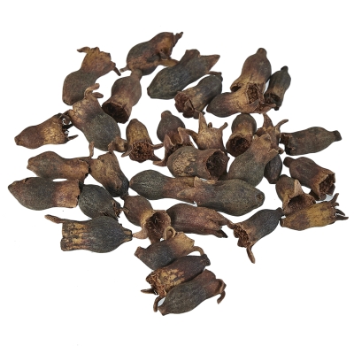 Potpourri de Granada 4"