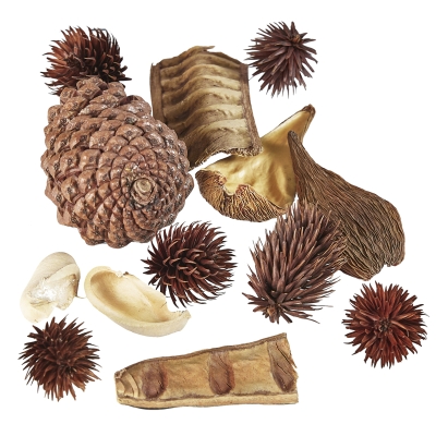 Potpourri de Frutas 4"