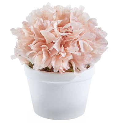 Flores Macet Hojas Preserva Rosada 7"