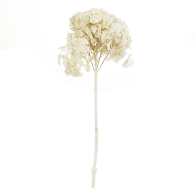 Hortensias Blanco 20"