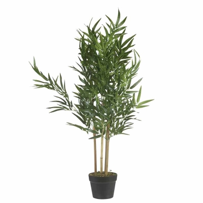 Planta Bambu 37"