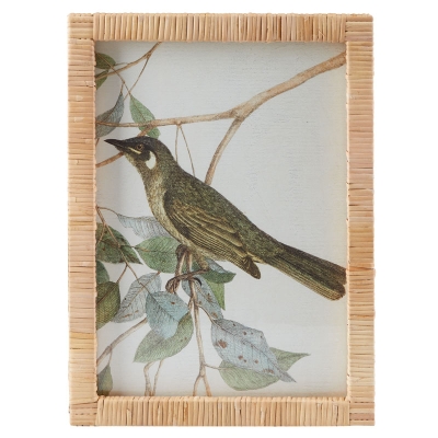Cuadro Pajaro Izquierda 12" x 16"