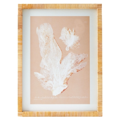 Cuadro Coral A 18" x 24"