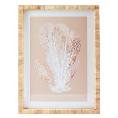 Cuadro Coral B 18" x 24"