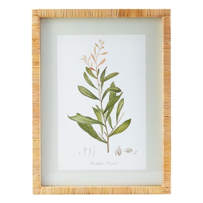 Cuadro Flor Blanca 18" x 24"