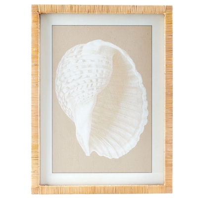 Cuadro Caracol A 18" x 24"
