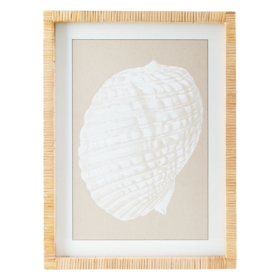 Cuadro Caracol B 18" x 24"