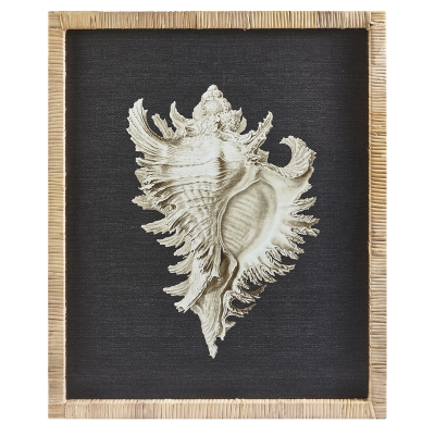 Cuadro Caracol Negro B Ratan 20" x 24"