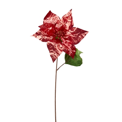 Flor de Pascua Terciopelo Rojo 19"