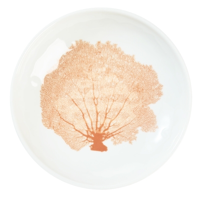 Del Mar Mini Plato de Coral