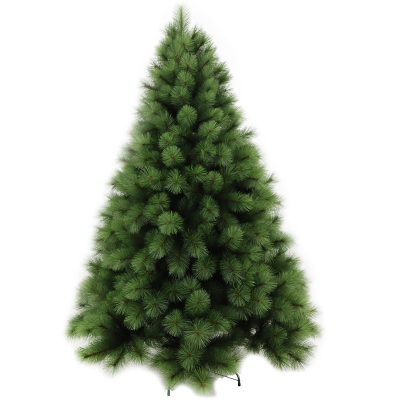 Árbol Morry 6 Pies