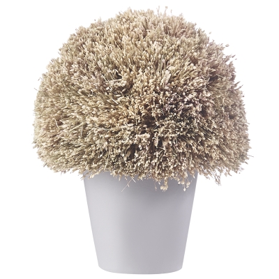 Planta conMacetero Preservado Natural 30gr