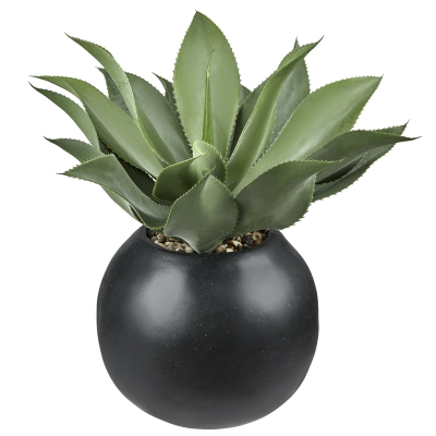 Planta Aloe con Macetero 24"